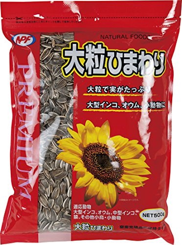 他サイト： 大粒ひまわり 500gの商品画像
