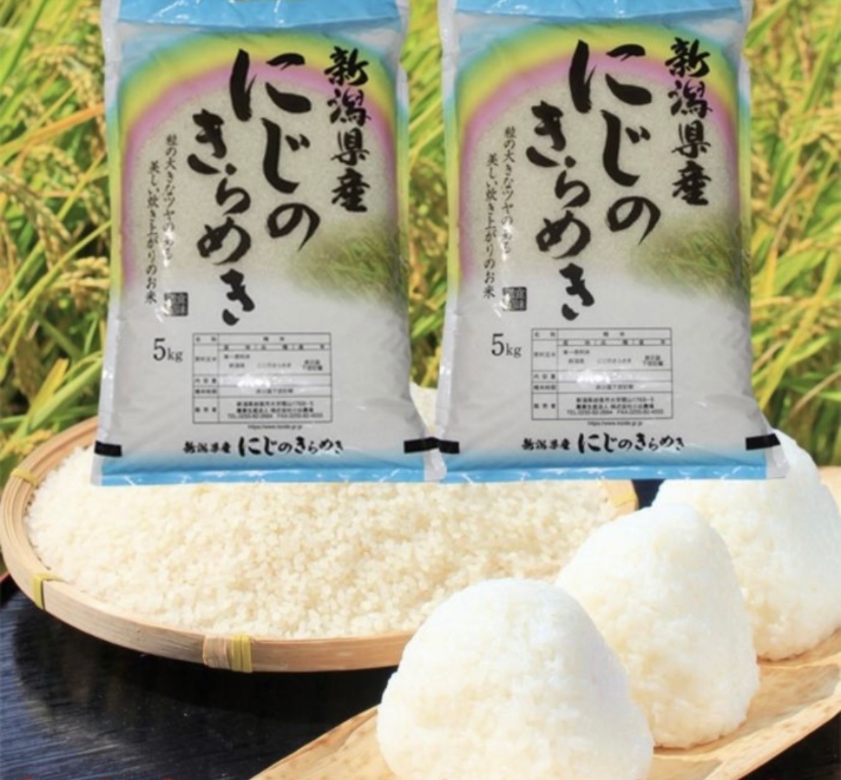 新潟県産 にじのきらめき 白米 10キロ 令和６年産　プレゼント入り 米 高級米 おいしいお米 美味しいお米 産地直送 農家の米