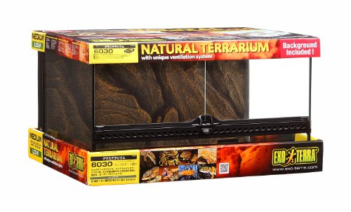 色：マルチカラー サイズ：6030 エキゾテラ GEX EXOTERRA グラステラリウム6030
