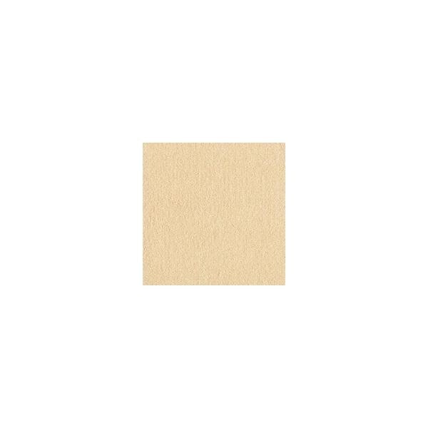 【1ケース】【お取り寄せ対象品】ウィズペットフロア WPF02(40×40cm) クリーム[東リ] *10個
