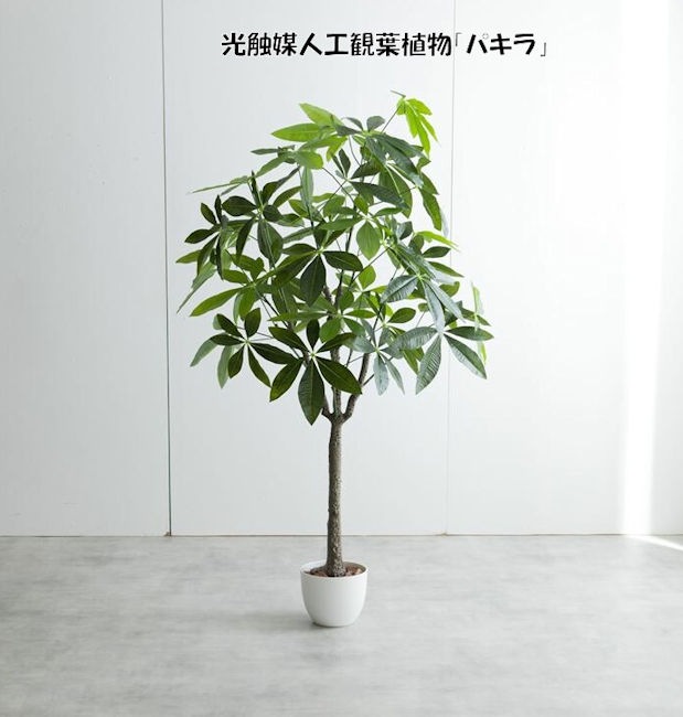 光触媒人工観葉植物パキラ高さ１５０ｃｍ 造花 人工植物 フェイクグリーン（196）