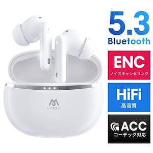 ワイヤレスイヤホン 最先端Bluetooth5.3 G18 カナル型 自動ペアリング 片耳 両耳通話 左右分離型 Hi-Fi高音質 IPX6防水 ノイズキャンセリンク タッチ操作 イヤフォン高音質
