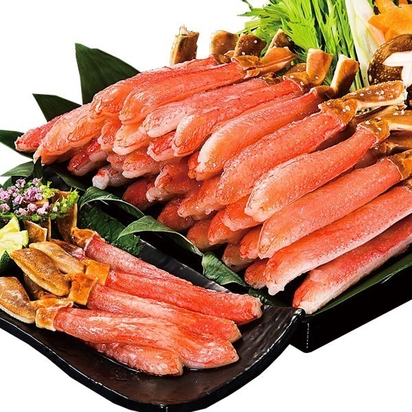 500g 太脚のみ 特特大本ズワイガニ太脚剥き身（お刺身用） かに カニ 蟹 むき身 お刺身
