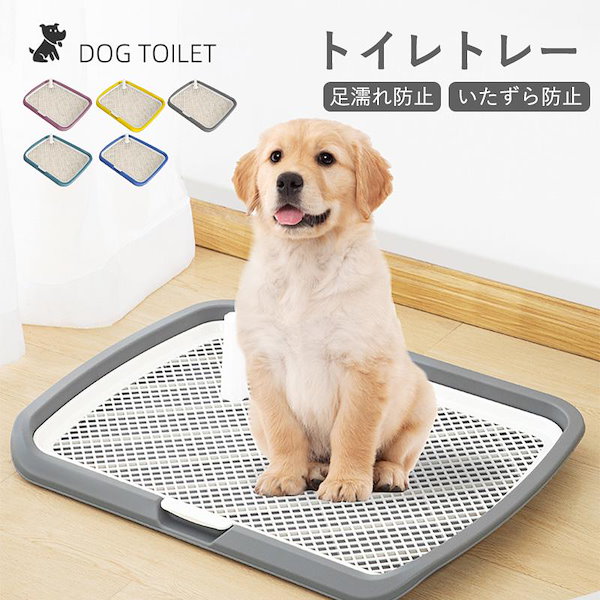 Mad Bull ダンベル 10kg 2個 セット 六角ダンベル ラバーコート