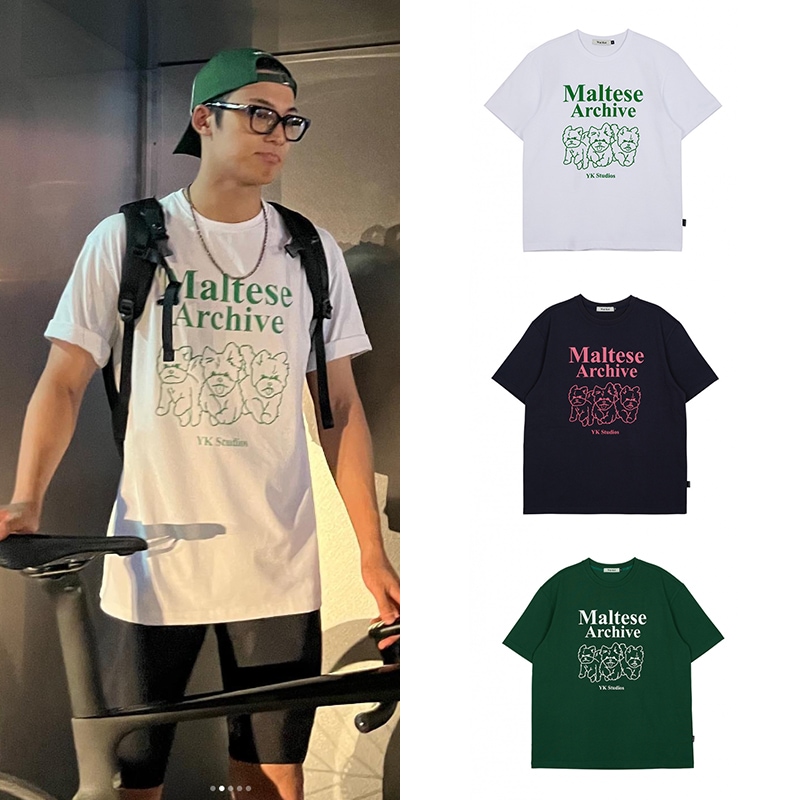 SEVENTEEN ジョシュア着用] シャイ ベビー マルチーズ