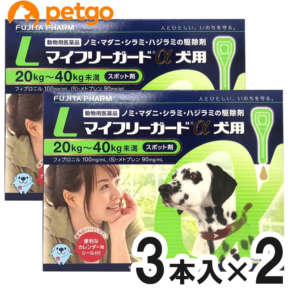 【2箱セット】マイフリーガードα 犬用 L 20～40kg 3本（動物用医薬品）