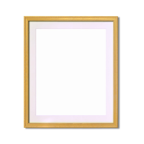 ( 軽量水彩額 ) 柄入り 水彩額 マット付 F10 ゴールド 金水彩額 銀水彩額 UV 紫外線 カットアクリル 額 額縁 フレーム