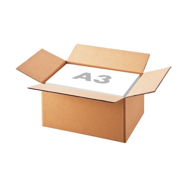 （まとめ）TANOSEE 無地ダンボール箱 A3（L）サイズ 軽量タイプ 高さ250mm 業務用パック 1パック（30枚） 3セット
