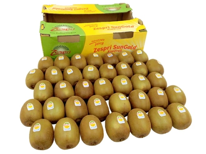 =サンゴールドキウイ= 大玉 37玉前後 約5-6kg 予約 4月下旬以降