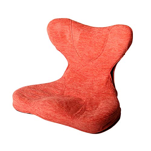 PROIDEA（プロイデア）馬具マットプレミアムEX パーシモンレッド