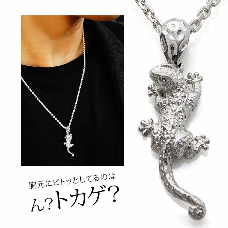 メール便なら送料無料！ シルバーアクセサリー 男女兼用 メンズ ペンダント pe2137-ch 知性