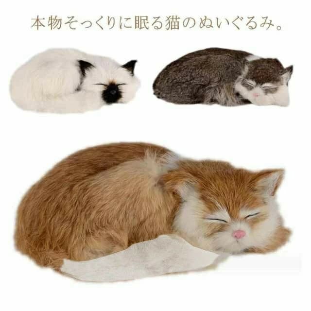 Qoo10] お得セットねこ ぬいぐるみ リアル 本物