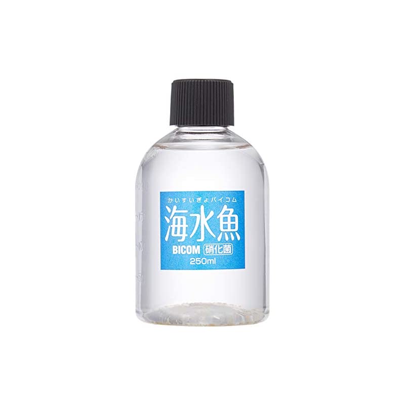 初売り】 ジュン JUN てんぷく快全液 250ml assessoriarealizze.com.br