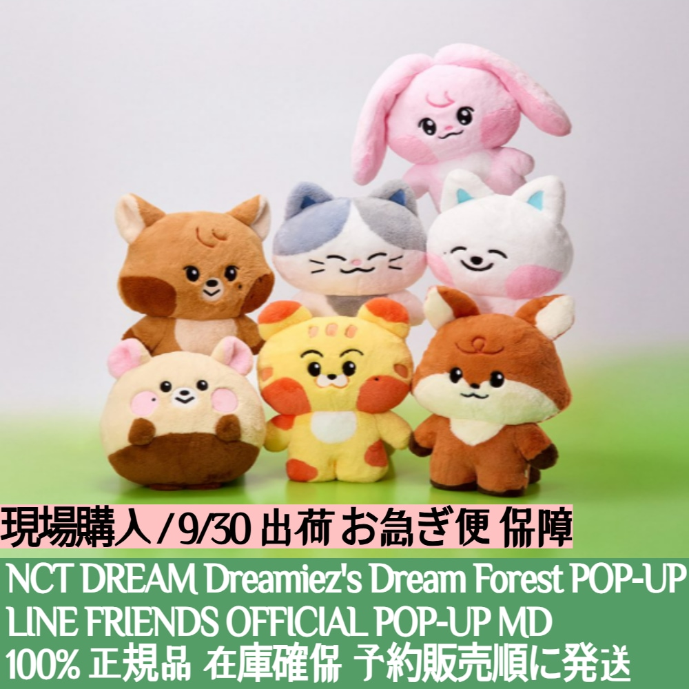 nct dream line popup ぬいぐるみ　チョンロ　クッション nct dream line popup ぬいぐるみ チョンロ クッション nct dream line
