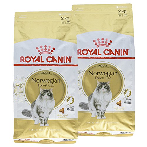 FBN ノルウェージャンフォレストキャット 成猫用 2kg ×2袋セット