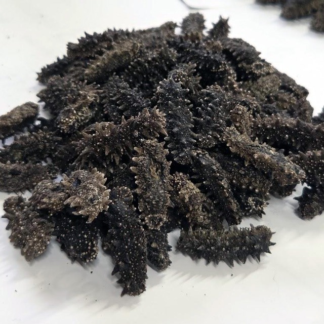 北海道産 天然乾燥ナマコ【特撰A級品】SSサイズ100g（約33-55個入）北海黒ダイヤ
