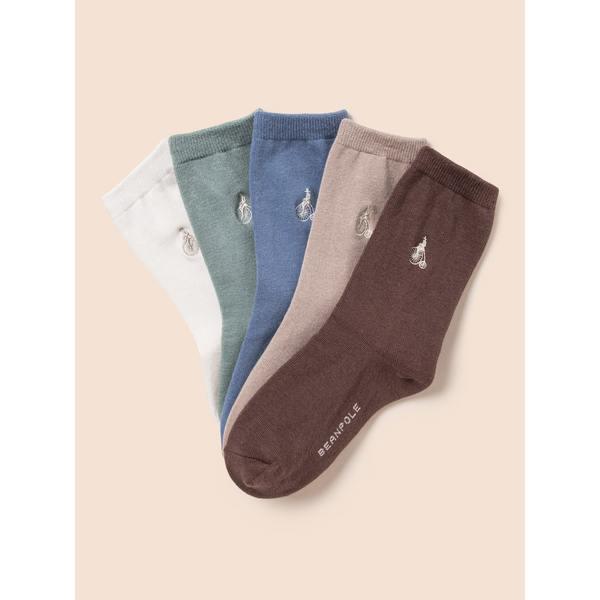 [BEANPOLE KIDS] ベーシック スプリング ソックス 5足セット アイボリー (BI51KTU050)