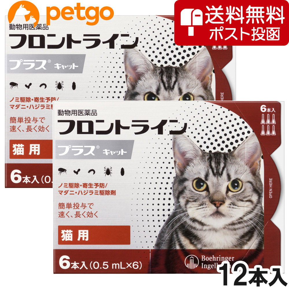 【ネコポス(同梱不可)】【2箱セット】猫用フロントラインプラスキャット 6本（動物用医薬品）
