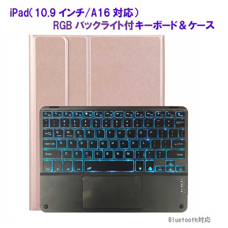 ROYALMONSTER　iPad(10.9インチ/A16対応)キーボード＆ケース RG　RM-2221-109RG