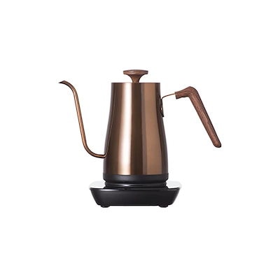 超特大 現地球 発根済み キフォステンマ マクロプス 山中勇人 y