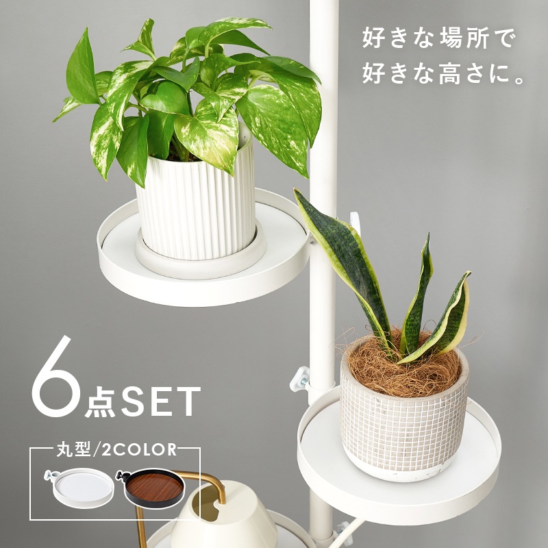 突っ張りラック 丸型/ホワイトホワイト トレイ5個 つっぱり ラック フック付き ポールラック