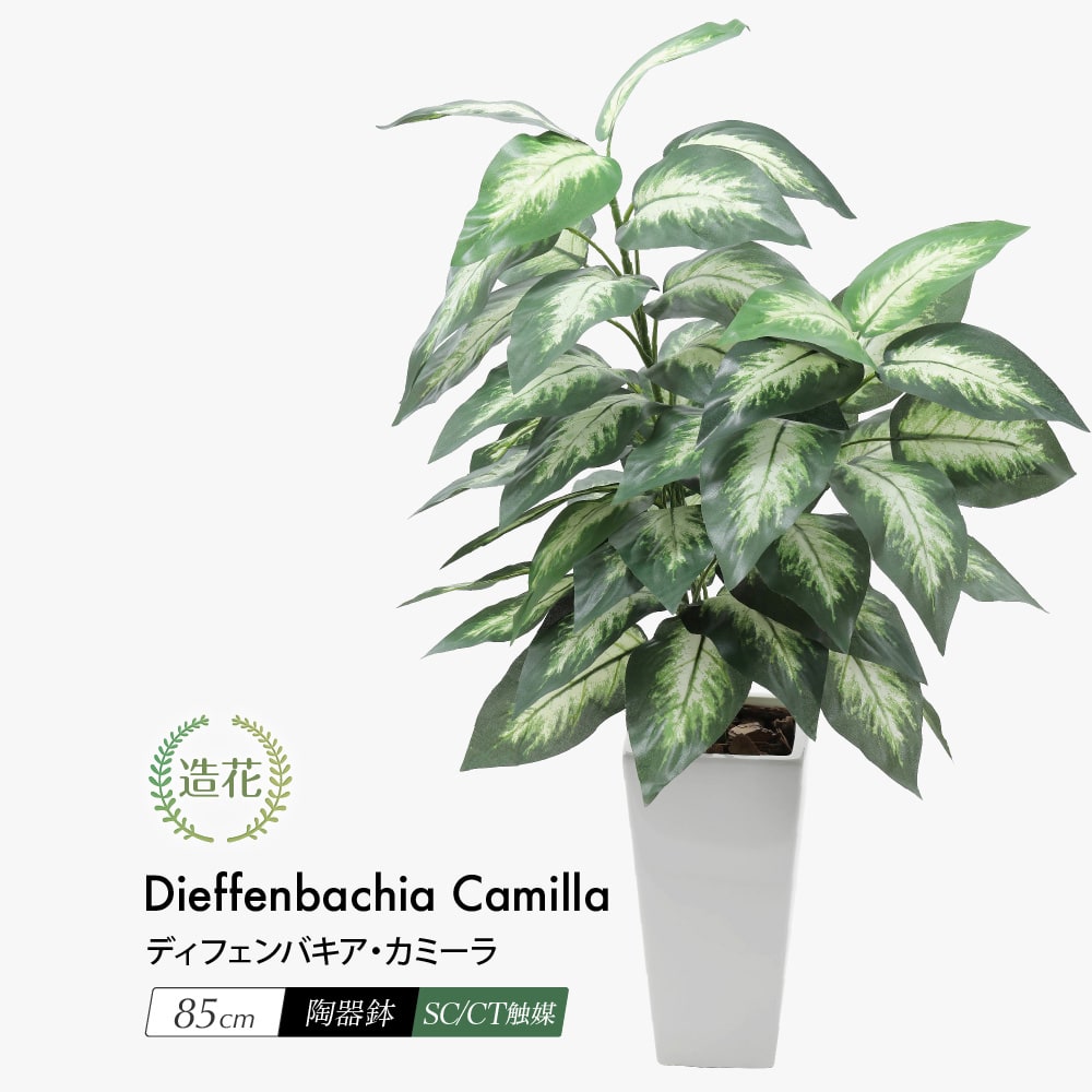 フェイクグリーン ディフェンバキアカミーラ 85cm 鉢植 陶器鉢 CT触媒