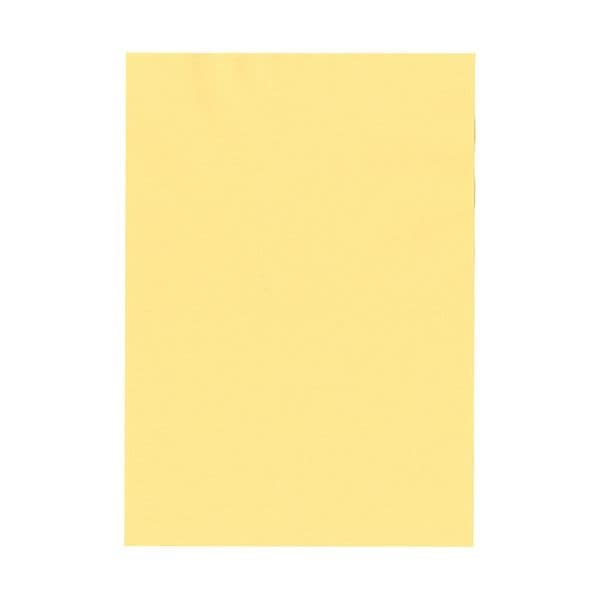 北越コーポレーション 紀州の色上質A3Y目 薄口 クリーム 1冊（500枚） 7,561円