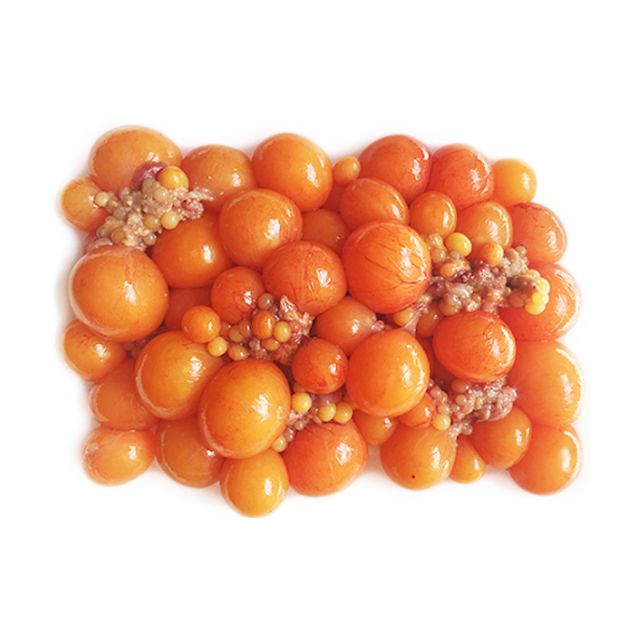 ランソウ10ｋｇ