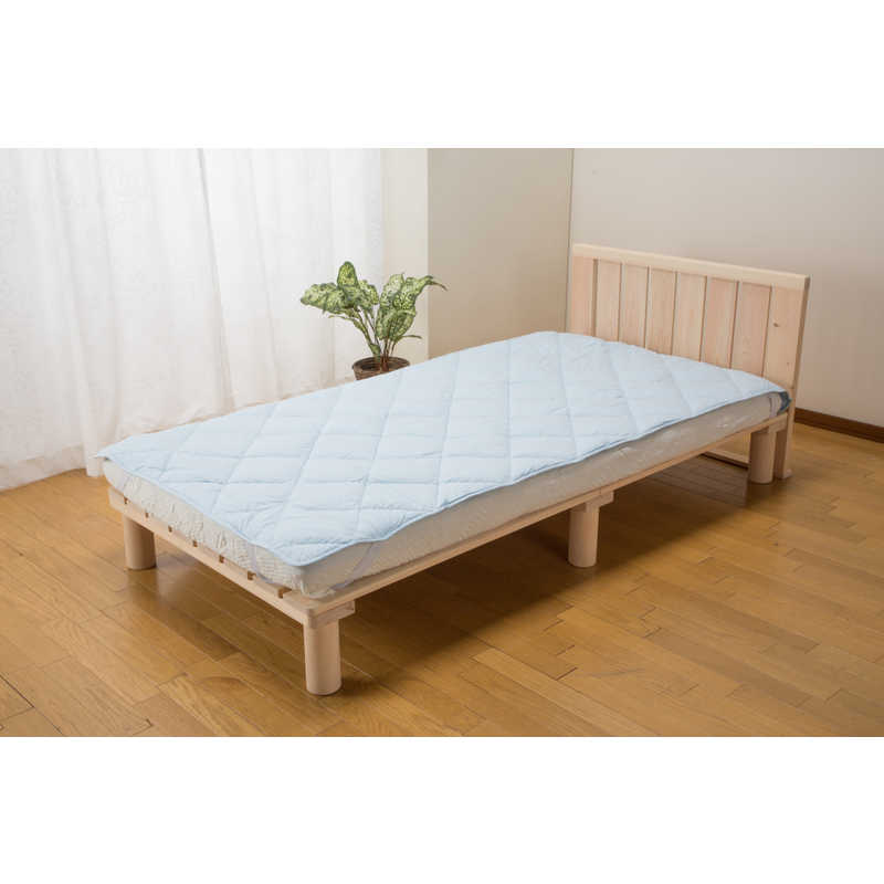 篠原化学　フォスフレイクス スーパーパッド シングルサイズ　FF100SBL