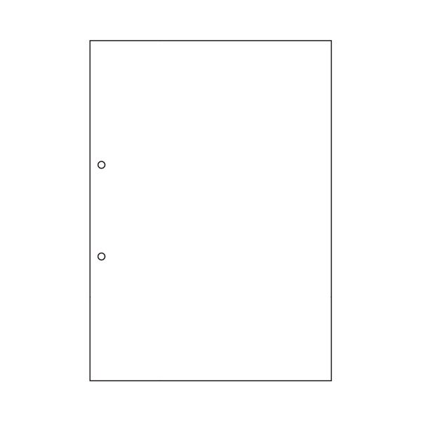 （まとめ）ヒサゴ マルチプリンタ帳票 撥水紙 A4 白紙 2穴 BPW2001 1冊（50枚） (×5セット)