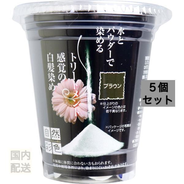 自然彩色 白髪染め 染美A ナチュラルブラウン 30g x10個セット