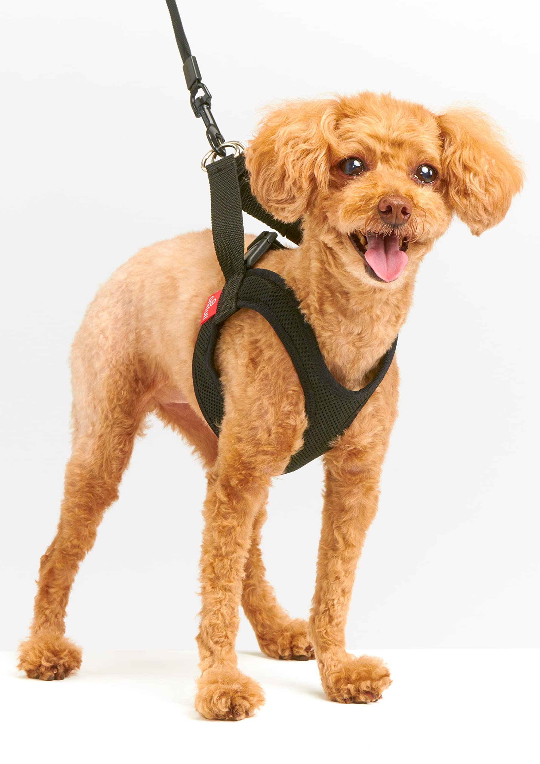 アニフル (anifull) アニサポ ハーレスト ブラック Lサイズ