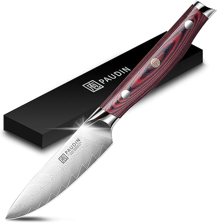 ペティナイフ 果物ナイフ 90mm ダマスカス 67層 VG10 ステンレス G10柄 両刃 左利き対応 フルーツナイフ 鳥羽仕様 高級包丁 プレゼントに最適 キッチン用品(シルバー)