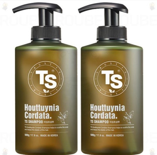 TS ドクダミシャンプー500g x 2個&プレミアムシャンプー100g x 2個