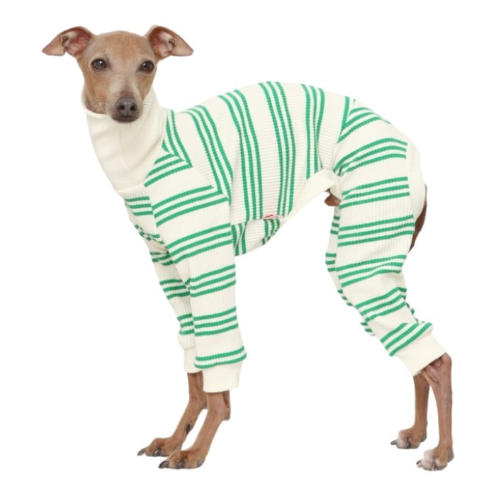 ウィペット服 3XL ストライプ ボーダー ロンパース おしゃれ 韓国 犬服 中型犬 大型犬 春 夏 秋 冬 室内着