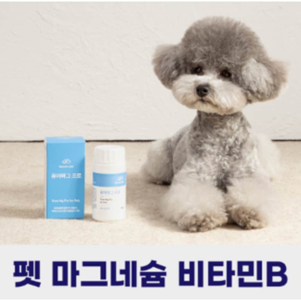 子犬膝蓋骨涙栄養剤ピュアマグプロ60gマグネシウムビタミンB