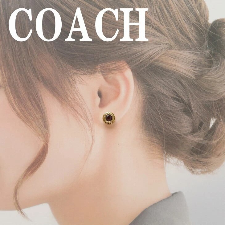 ピアス ラインストーン 一粒ストーン 箱入り 54516RDGD