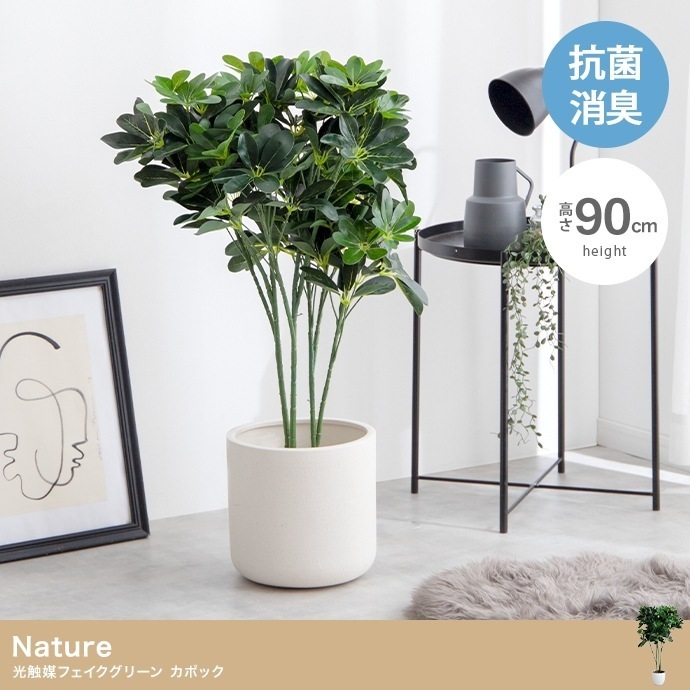 観葉植物 フェイクグリーン 光触媒 カポック 高さ90cm