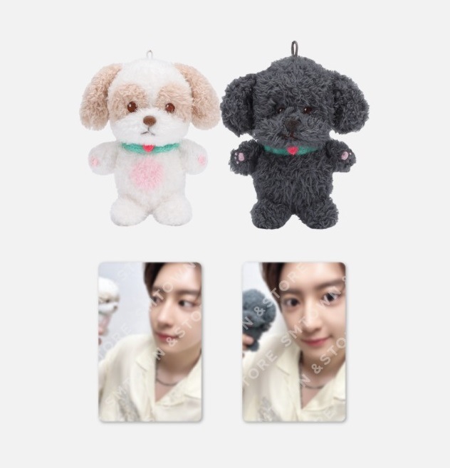 CHANYEOL 10CM DOLL 2024 LIVE TOUR _都市風景 (City-scape)