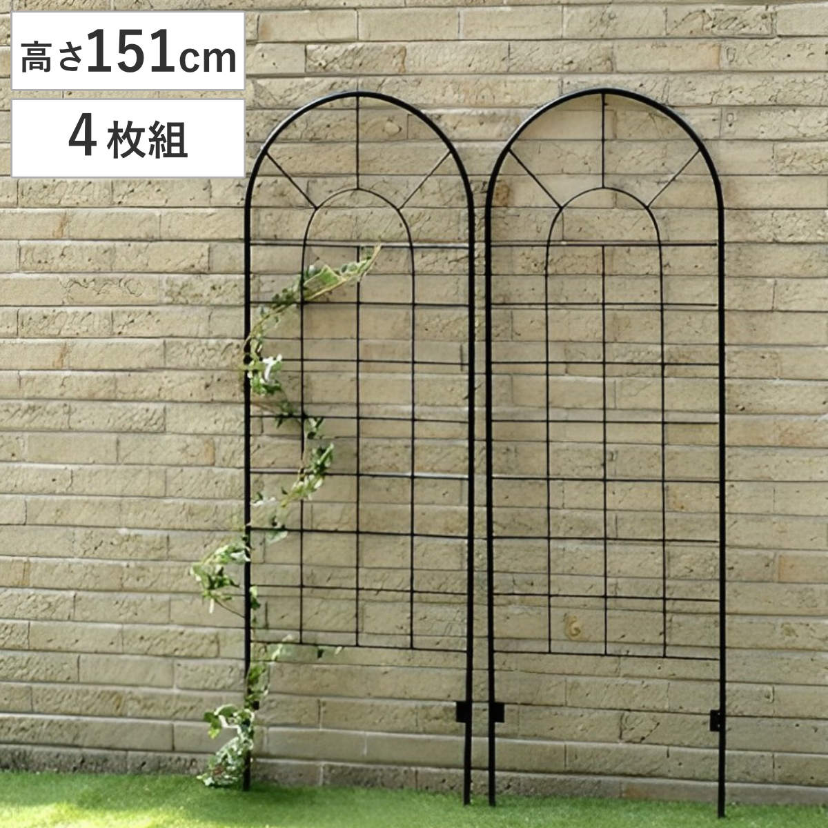 フェンス アイアンフェンス ロータイプ 高さ151cm 4枚組 ガーデンフェンス インテリア ガーデニング雑貨 アンティーク おしゃれ ガーデニング アイアン 鉄 ディスプレイ オブジェ 置物