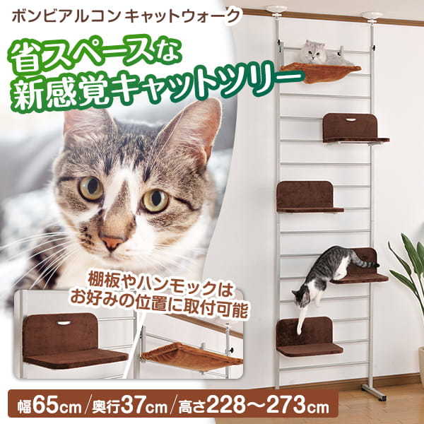ボンビアルコン キャットウォーク