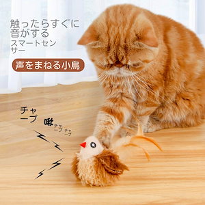 猫のおもちゃの電動シミュレーション小鳥が猫をからかっている棒の幼猫が自分で退屈している神器の発声鳥ペット猫用品