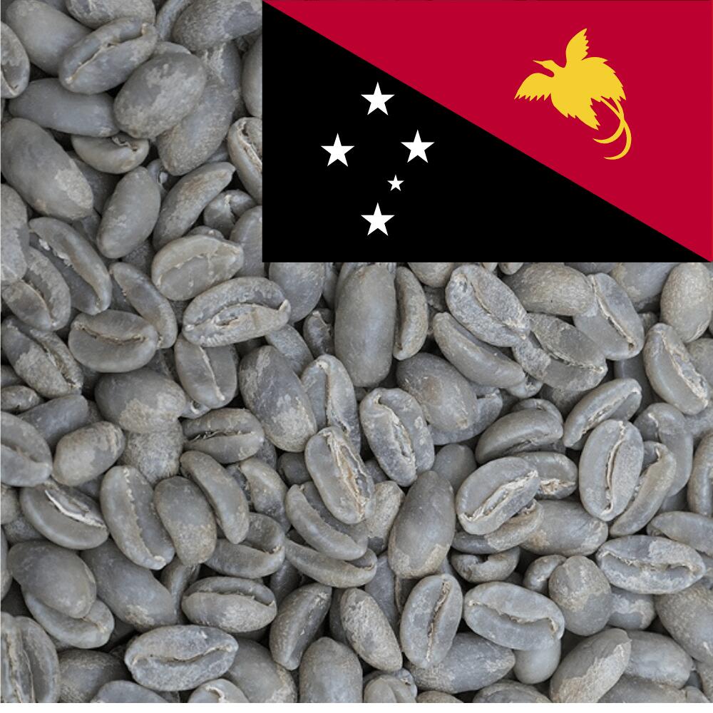 コーヒー 生豆 パプアニューギニア コルブラン ゲイシャ 1kg 7,606円