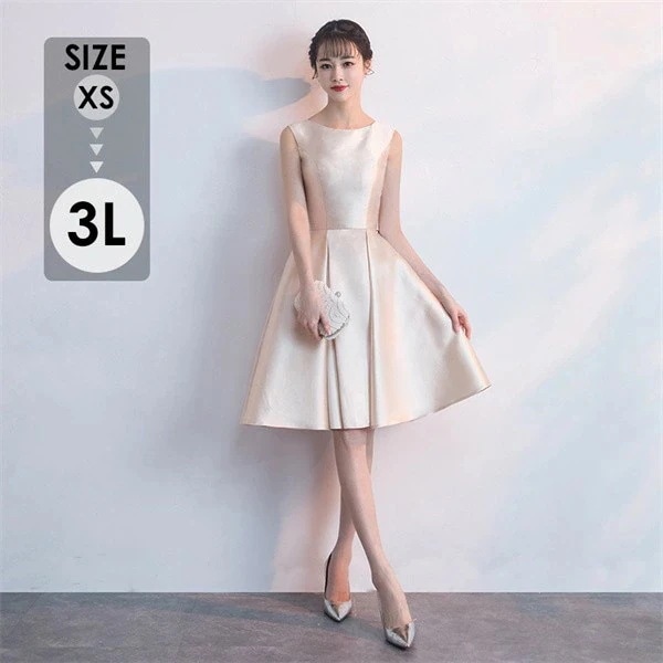 お急ぎくださいドレス 大人 ピアノ発表会 ドレス 演奏会 膝丈 結婚式 大きいサイズ パーティードレス ノースリーブ 膝丈ドレス ショート丈ドレス お呼ばれ 20代 30代 可愛い da058c6