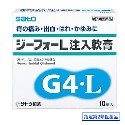 他サイト： 指定第２類医薬品 ジーフォーL注入軟膏 10個の商品画像