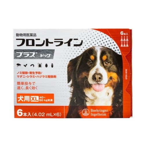 フロントライン 犬用 XL 40~60kg未満 6本入 ノミ 蚤 ダニ ハジラミ 駆除剤 駆除液 動物用医薬品 ペット用医薬品 中型犬 大型犬 フロントラインプラスドッグ(代引不可)