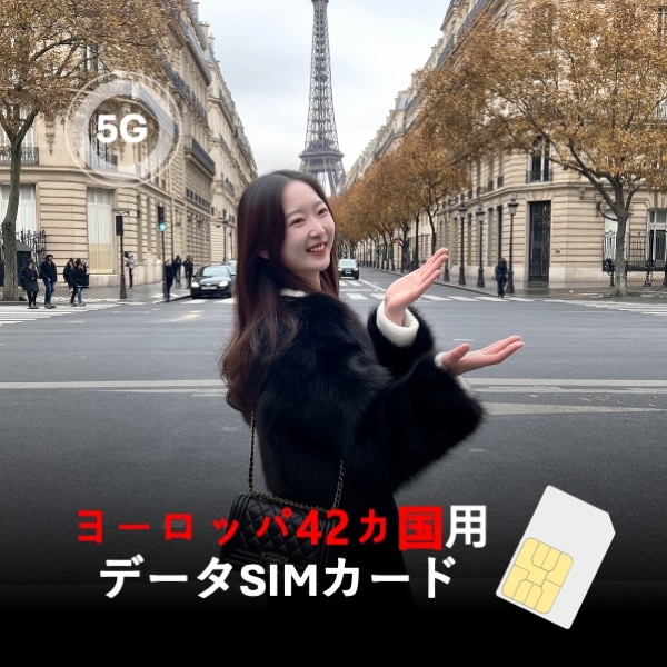 ヨーロッパ42カ国用データSIMカード 30日間 1日3GB高速＋低速無制限 日本国内即日発送（Amazon倉庫）