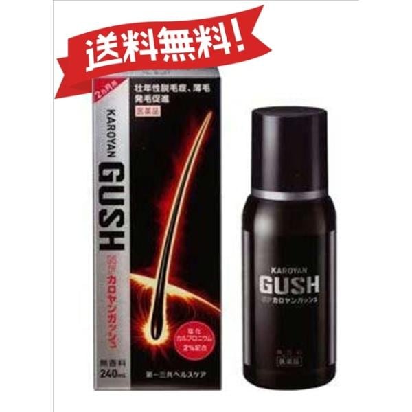 【第3類医薬品】NFカロヤンガッシュ 240mL 4987107191014