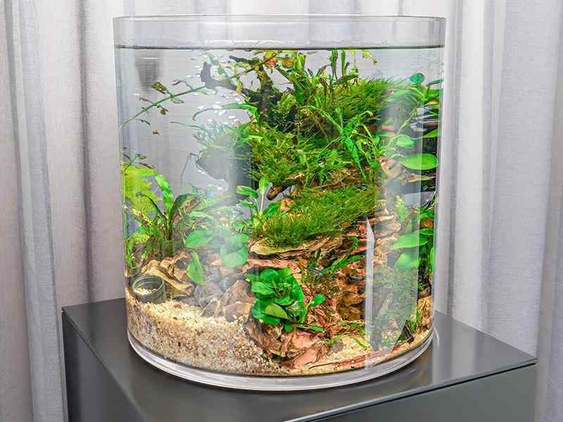 水槽 飛散防止 ストレート リビング 小型 円筒 大型 プラスチック 金魚 インテリア小物 クリア おしゃれ きれいめ エレガント 自宅 会社 玄関 こなれ感 抜け感 オールシーズン かわいい シンプ