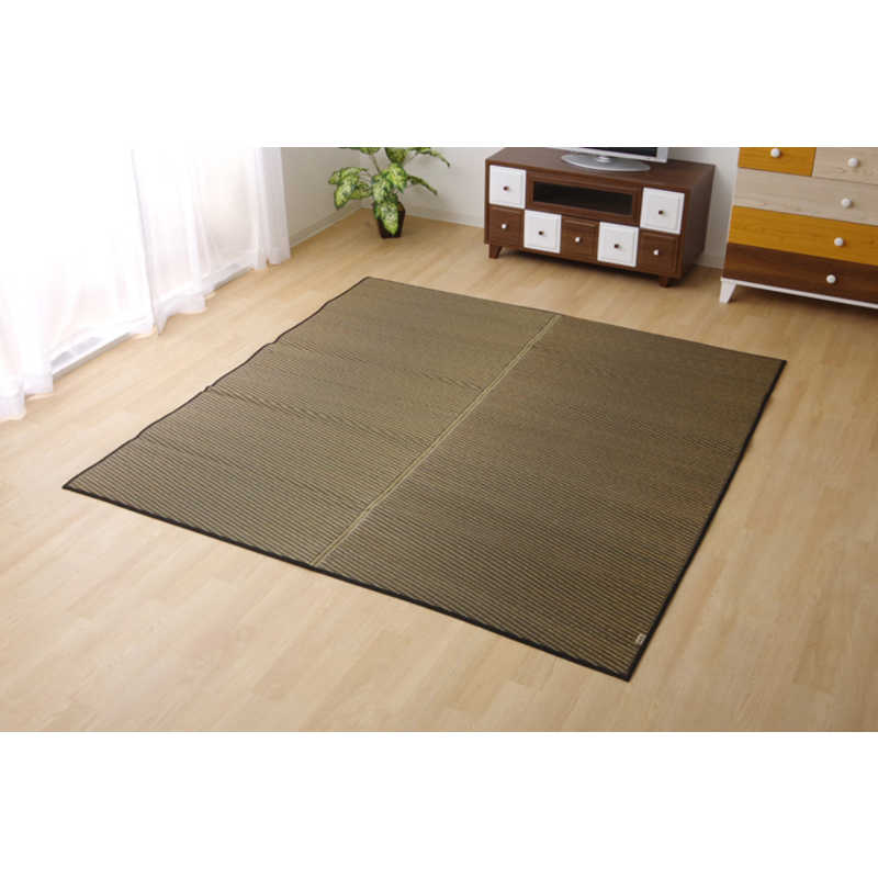 イケヒコ　い草ラグカーペット 『Fソリッド』 ダークブラウン